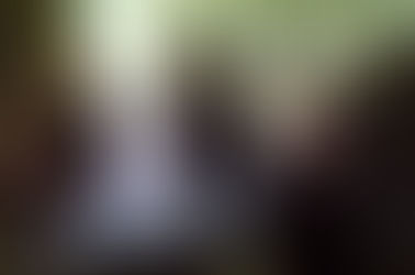 PRENAPETEŽI: komentar k predstavi in širši konstelaciji stvari