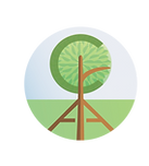 CAA logo.png