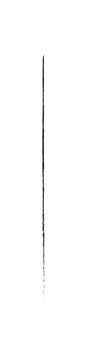 Asset 32 (2)_3x.png