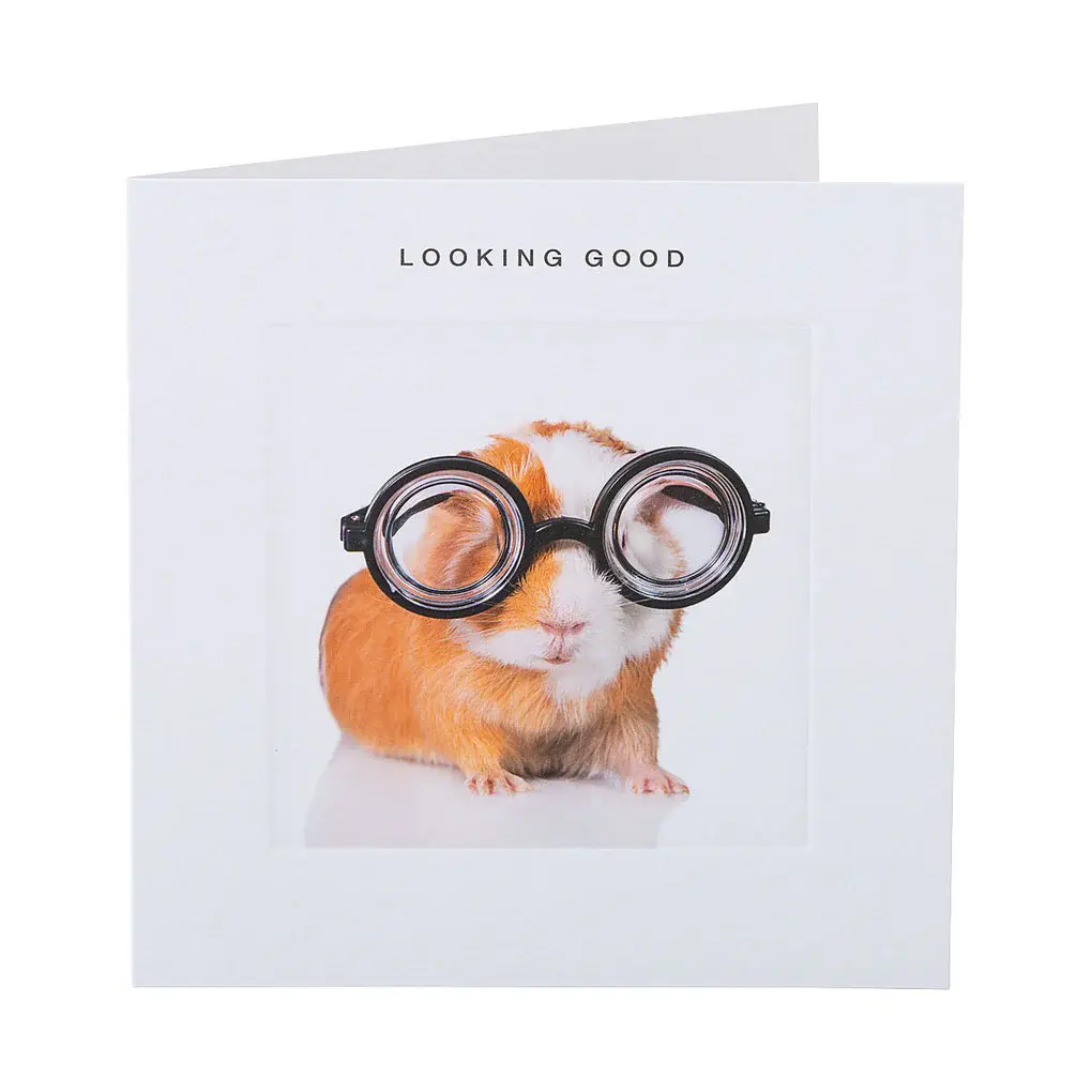 Looking Good - Guinea Pig Gift Card
