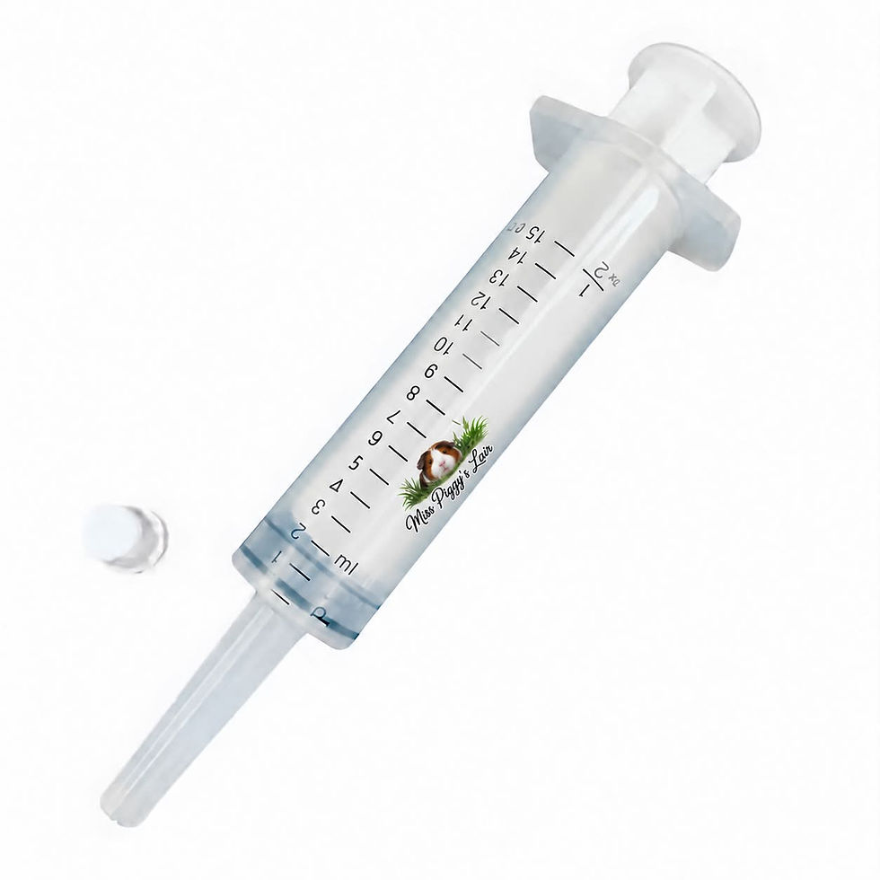 15ml Critta Care feeding syringe with measurement markings