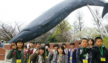 わんぱく自然塾(室戸編)