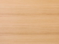 AdobeStock_323425014 (1).jpeg
