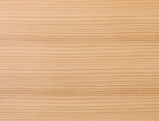 AdobeStock_323425014 (1).jpeg