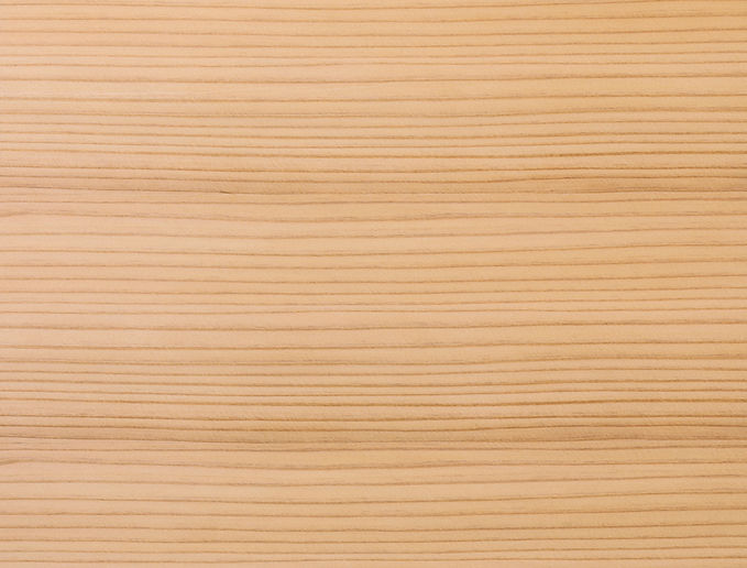 AdobeStock_323425014 (1).jpeg