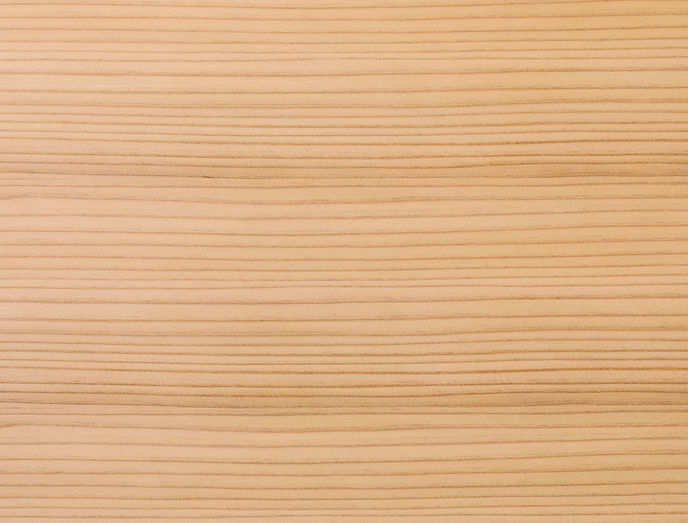 AdobeStock_323425014 (1).jpeg