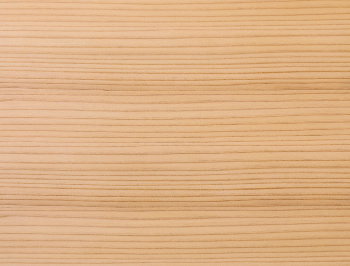 AdobeStock_323425014 (1).jpeg