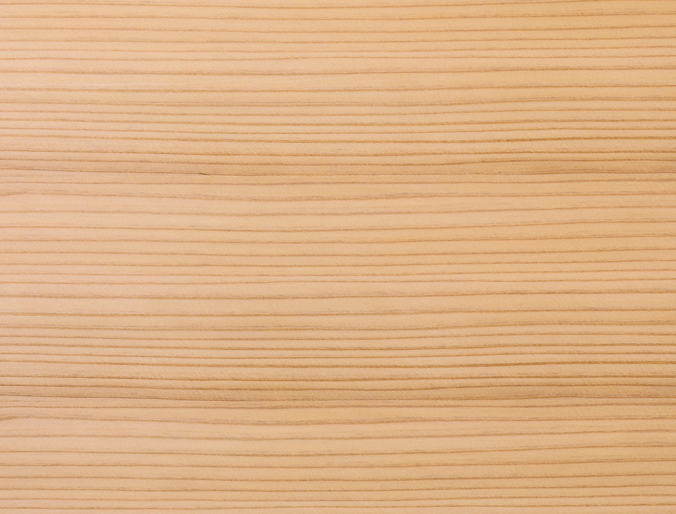 AdobeStock_323425014 (1).jpeg