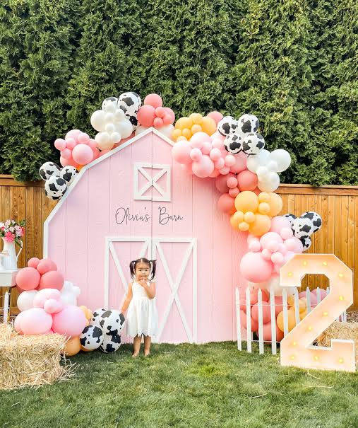 Birthday plan