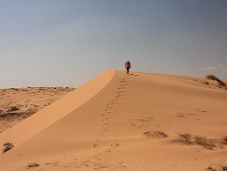 The silence of the desert