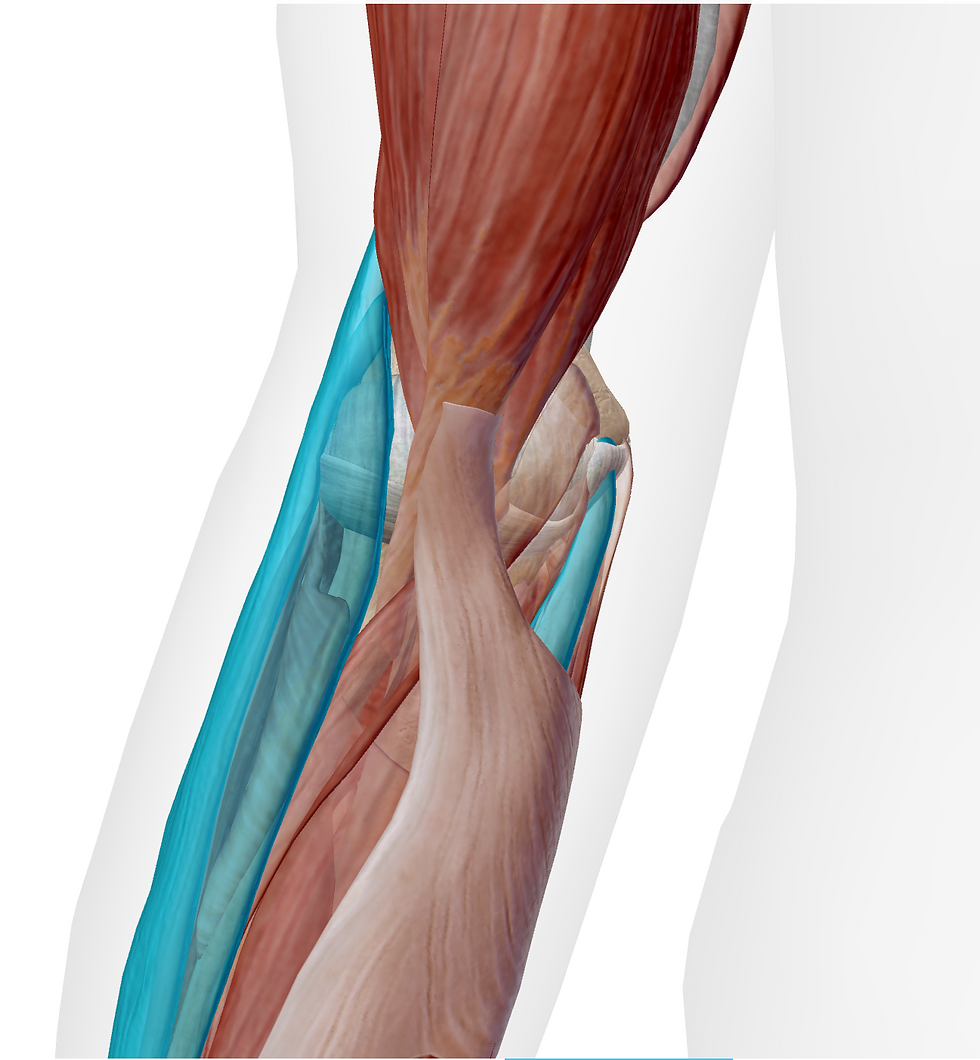 Golfer's and tennis elbow