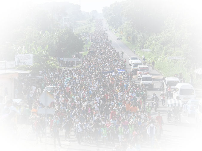 Crises at Southern Border2_edited_edited.jpg