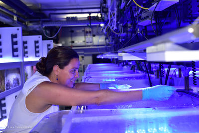 ReefFutures_4_LZ.jpg