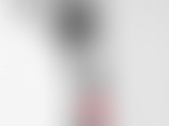 The Nervous System Remembers: What we can learn from a dogs