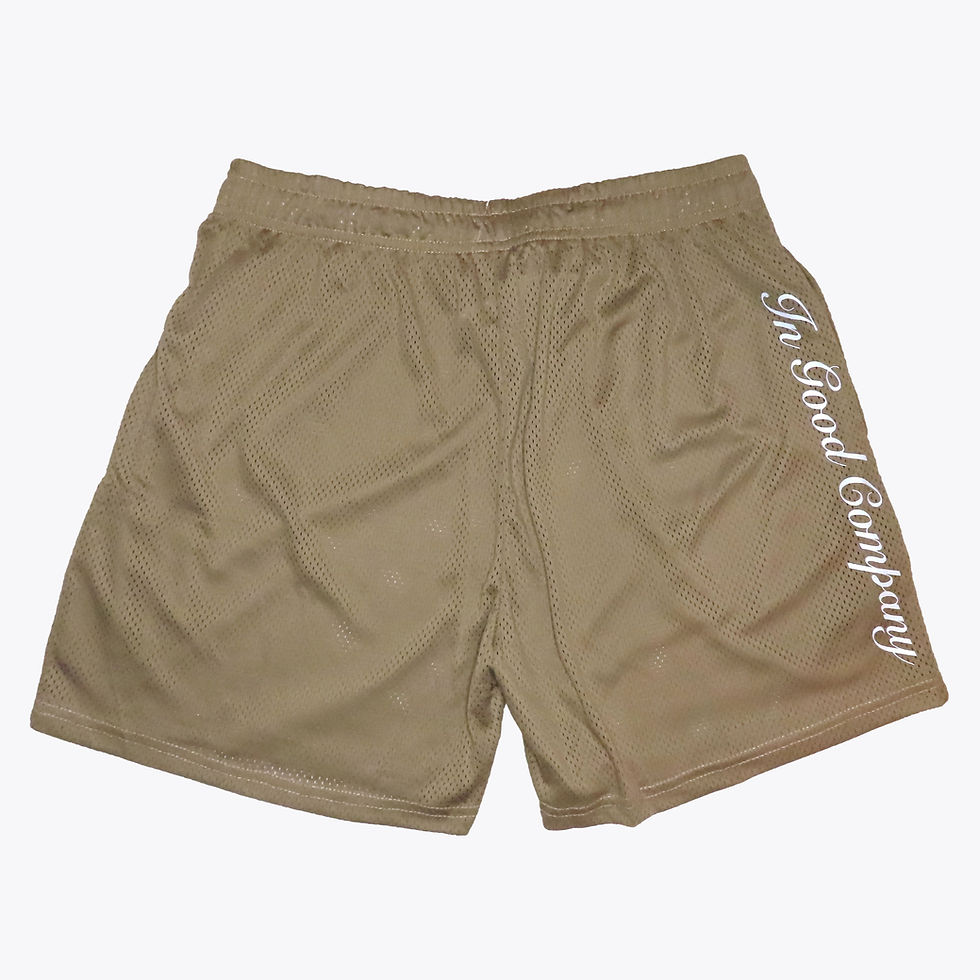 Thumbnail: Logo Mesh Shorts