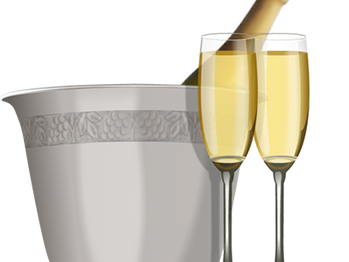 Birthday Party & Champagne Toast