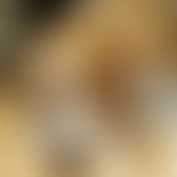 Get German Grinds for Your Leaving Cert