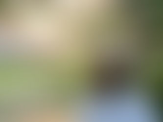 Meet Dr. Thony Voltaire: A Life Rooted in Empathy, Community, and Enduring Commitment