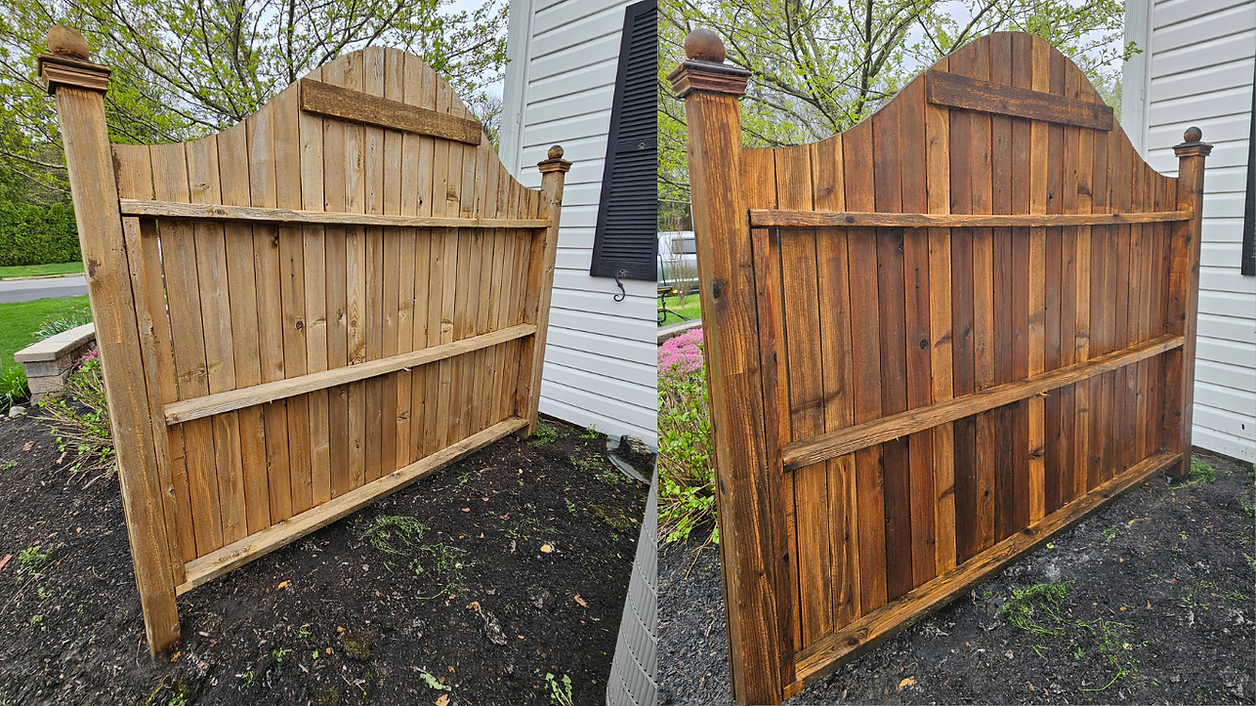 Copy of Copy of LaTosha (5).png