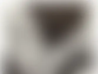 Sigmund Freud: Um autor do nosso tempo