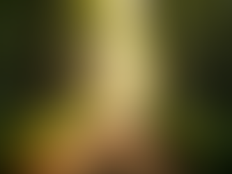 Letting Go of Small Stressors for a Healthier Life