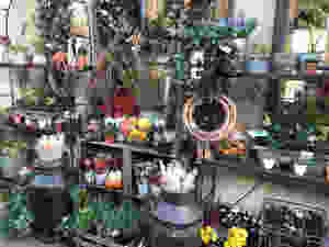 A flower shop in Bath, England
