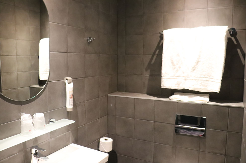 Modern bathroom inside the hotel room ibis tallinn city center, estonia