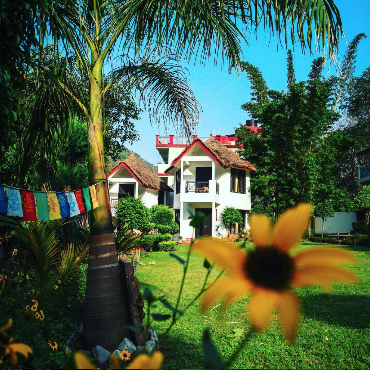 The journey home | Sacred India Holistic Yoga Retreat