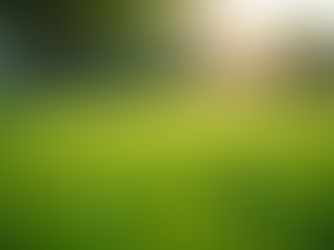 Top Tips for Lawn Maintenance in Bergen County