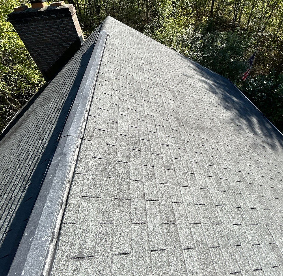 Overhead view of a gray shingle roof, chimney, and surrounding trees.