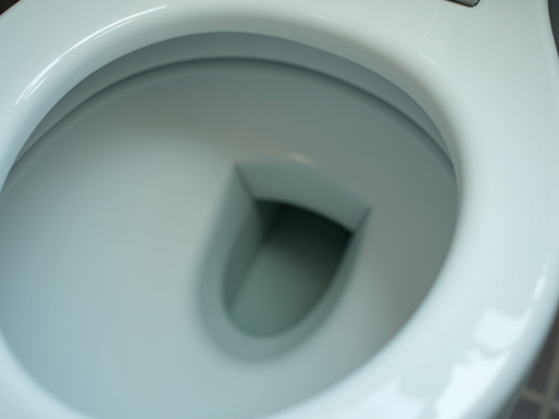 Simple DIY Toilet Repair Tips Every Homeowner Should Know