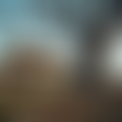 When Is the Right Time to Get a Tree Removed for Safety and Aesthetics