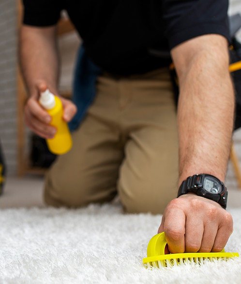 man-doing-professional-home-cleaning-service.jpg