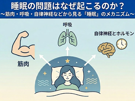 睡眠の問題はなぜ起こるのか？〜筋肉・呼吸・自律神経などから見る「睡眠」のメカニズム〜