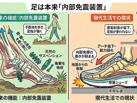 厚底シューズの増加と足の機能低下。整体視点で考える本来の身体の使い方