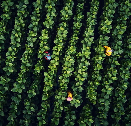RP_Honduras_Nicaragua_Drone_Photos_DJI_0273.jpg