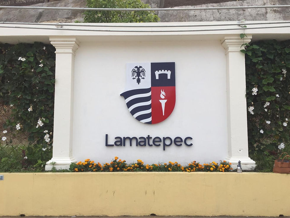 Miniatura: ROTULACION