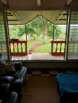 View from the living room