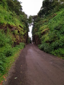 Dudhivare Kind