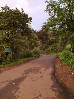 Road to Lohagad