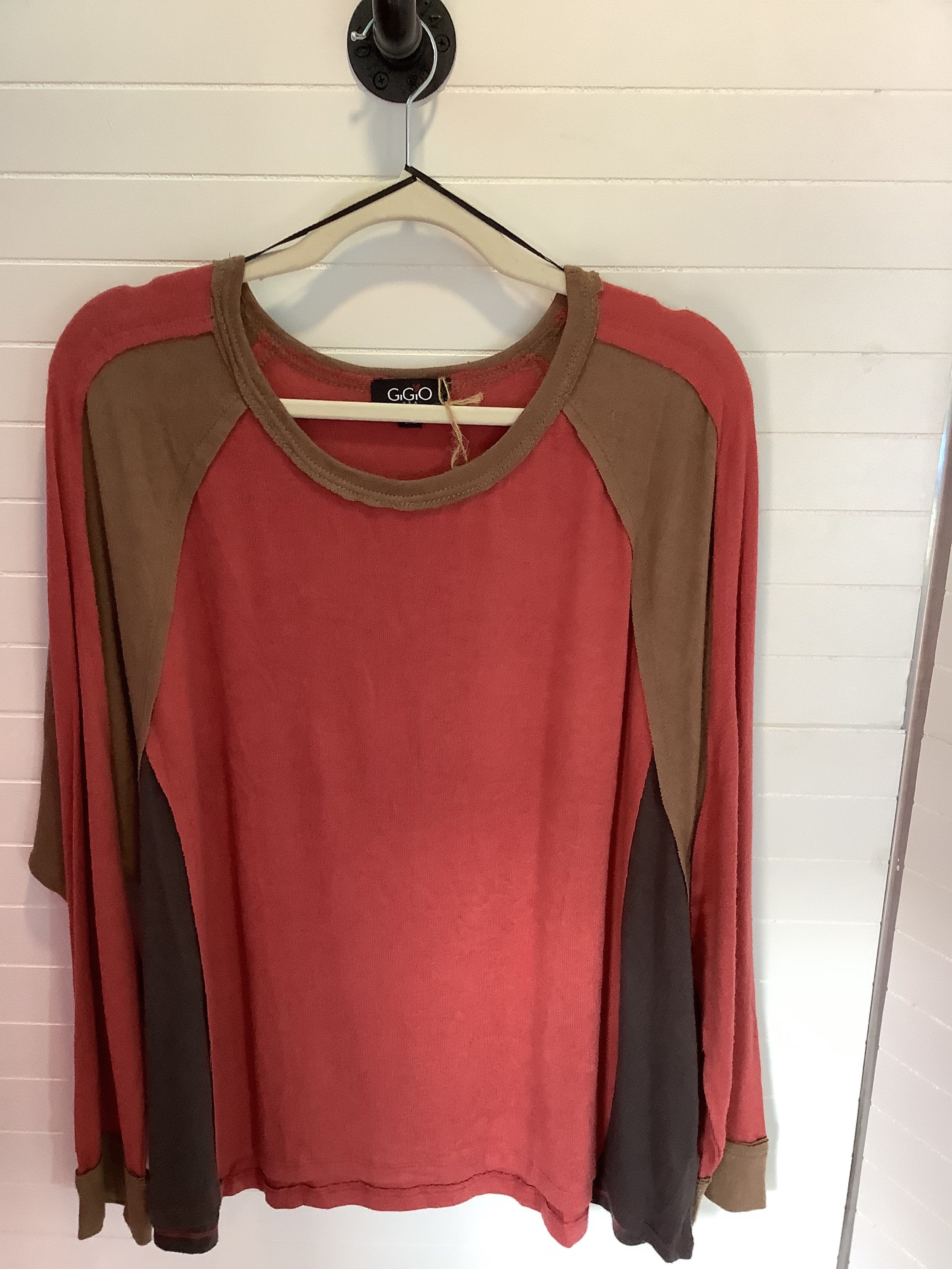 00172 - color block long sleeve top. Size down one size