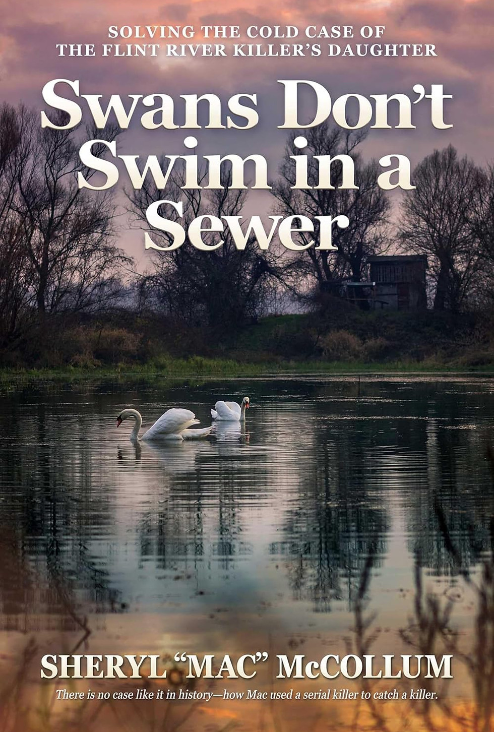 Swans don't swim in the sewer book