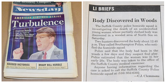 Newsday article 1993