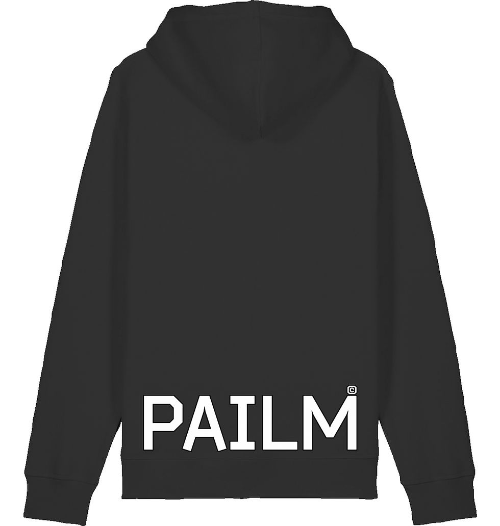 Miniaturbild: Pailm Basic Hoodie Men