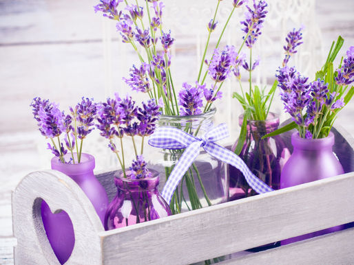 Lavender Oil Uses
