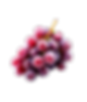 UVAS.png