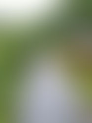 2025年6月24日 エリア状況