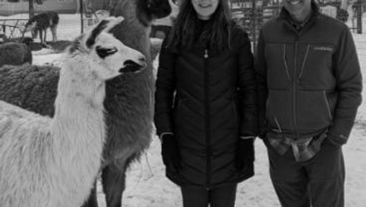 Red Ryder Llamas & Alpacas