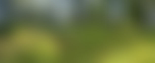 Ranchot and Besancon