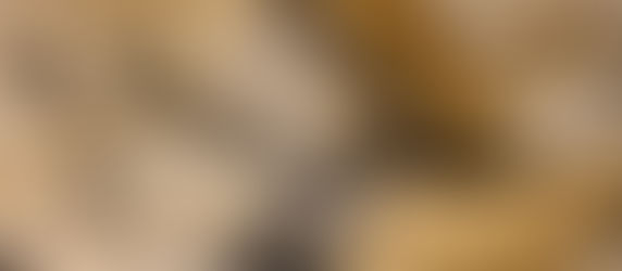 Lascaux Cave Paintings